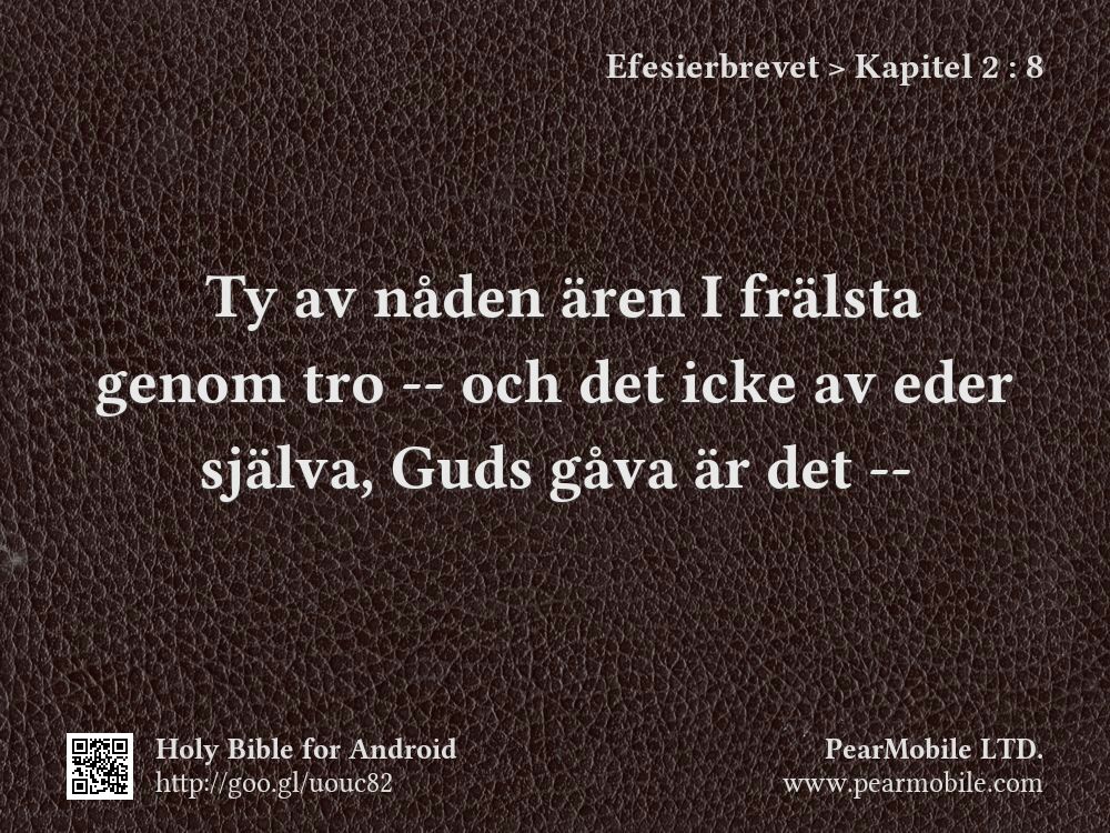 Efesierbrevet, Kapitel 2:8